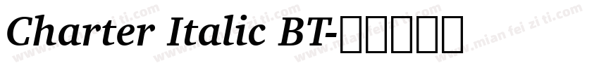 Charter Italic BT字体转换